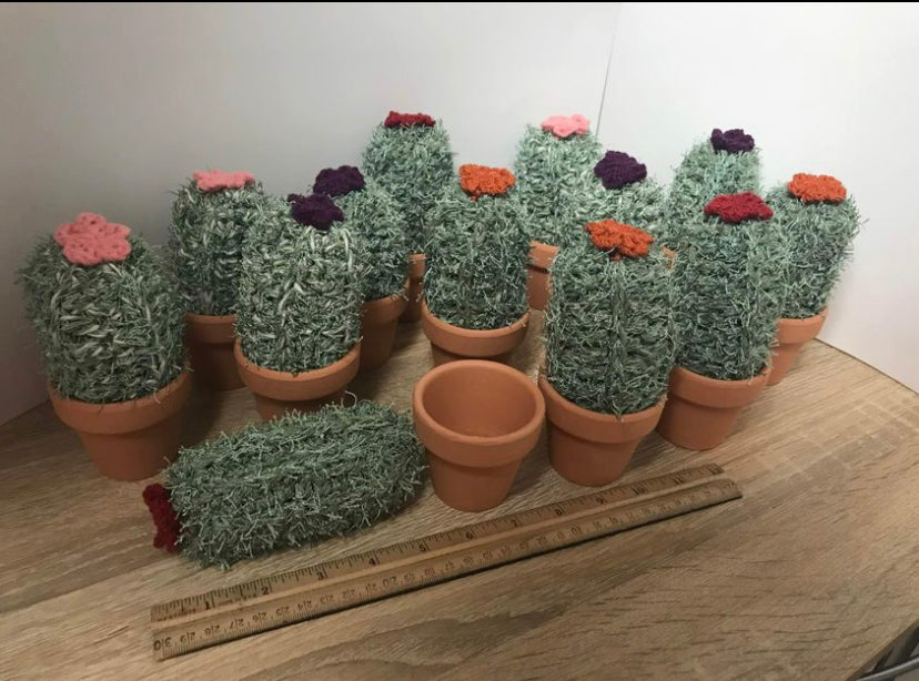 Cactus Scrubbie