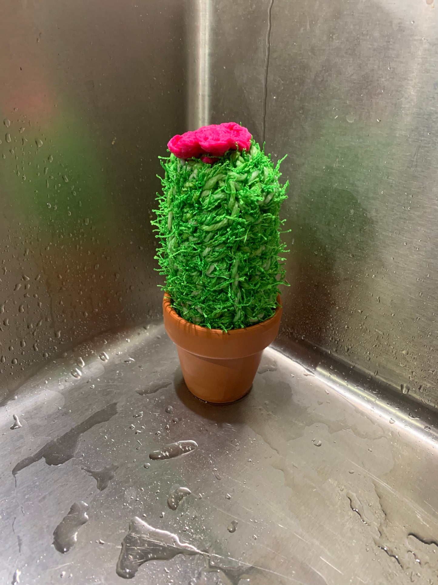 Cactus Scrubbie